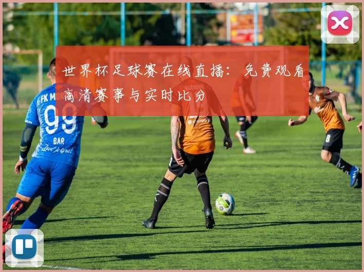 世界杯足球赛在线直播：免费观看高清赛事与实时比分