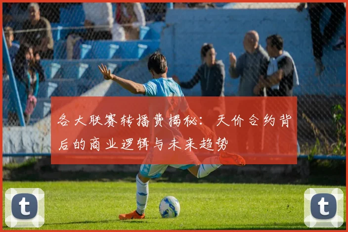 各大联赛转播费揭秘：天价合约背后的商业逻辑与未来趋势
